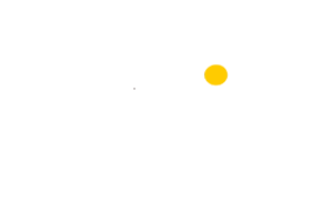 Bingo